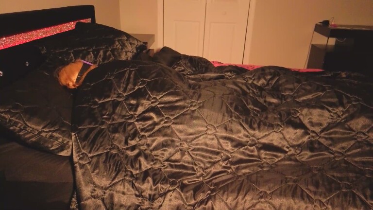 Honeysweetteaxo's Streamate show and profile