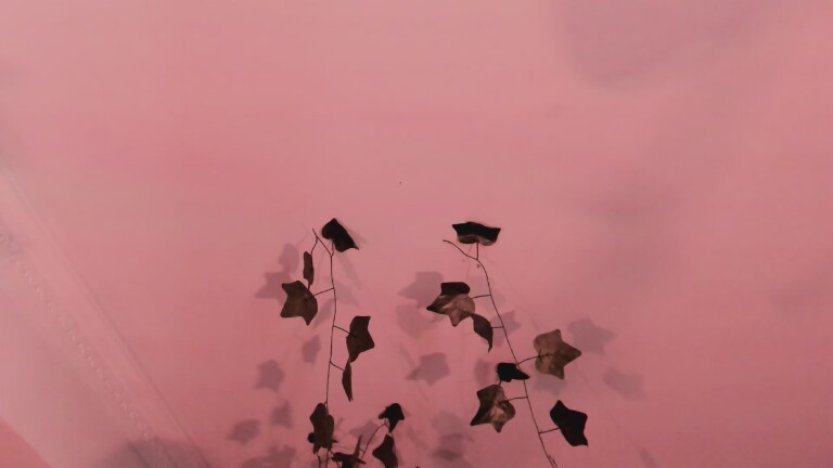 Charlottesinclair22's Streamate show and profile